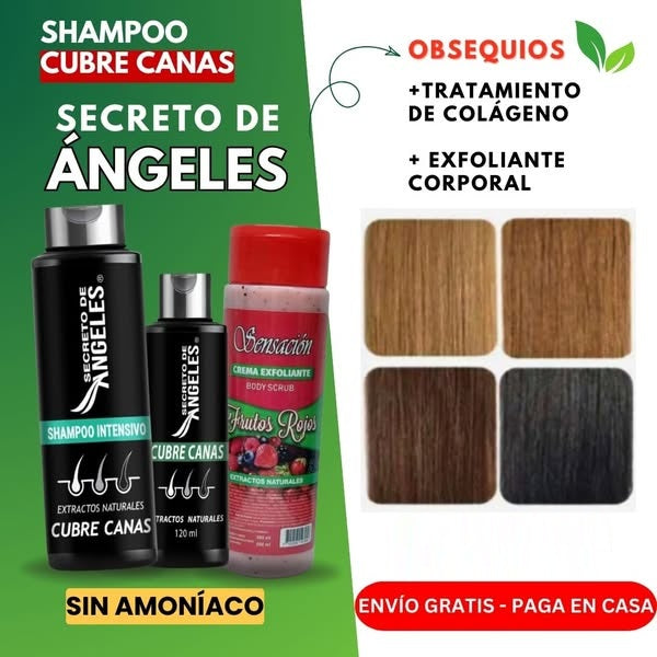 Original Shampoo Cubre Canas Secreto de Ángeles➕Colageno y Exfoliante GRATIS🎁