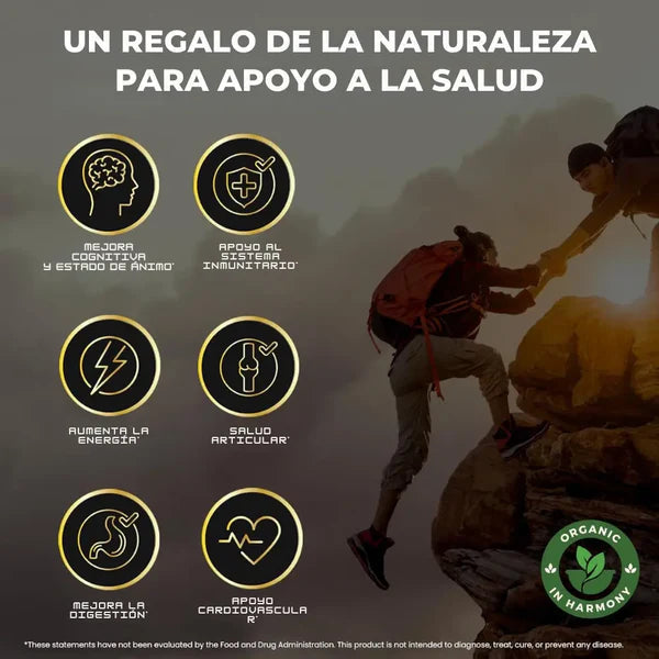 GOMAS SHILAJIT x 160g 💪POTENCIADOR DE TESTOSTERONA🔥Envío Gratis